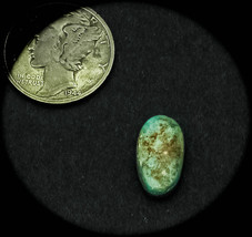 3.5 cwt Tortoise Mountain Turquoise Cabochon - $319.15 MXN