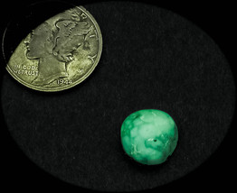 4.0 cwt Tortoise Mountain Turquoise Cabochon - $319.15 MXN