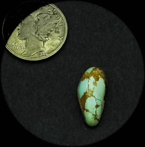 4.0 cwt Tortoise Mountain Turquoise Cabochon - $319.15 MXN