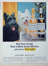 Black &amp; White Scotch Whiskey, 60&#39;s print ad. Color Illustration (scottie dogs) o - £14.29 GBP