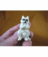 (RAC-1) little baby white Racoon shed ANTLER figurine Bali detailed carving - $1,465.99 MXN