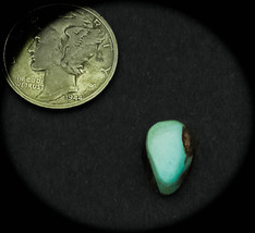 3.0 cwt Tortoise Mountain Turquoise Cabochon - $319.15 MXN
