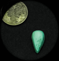 4.0 cwt Tortoise Mountain Turquoise Cabochon - $319.15 MXN