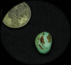 4.0 cwt Tortoise Mountain Turquoise Cabochon - £13.09 GBP