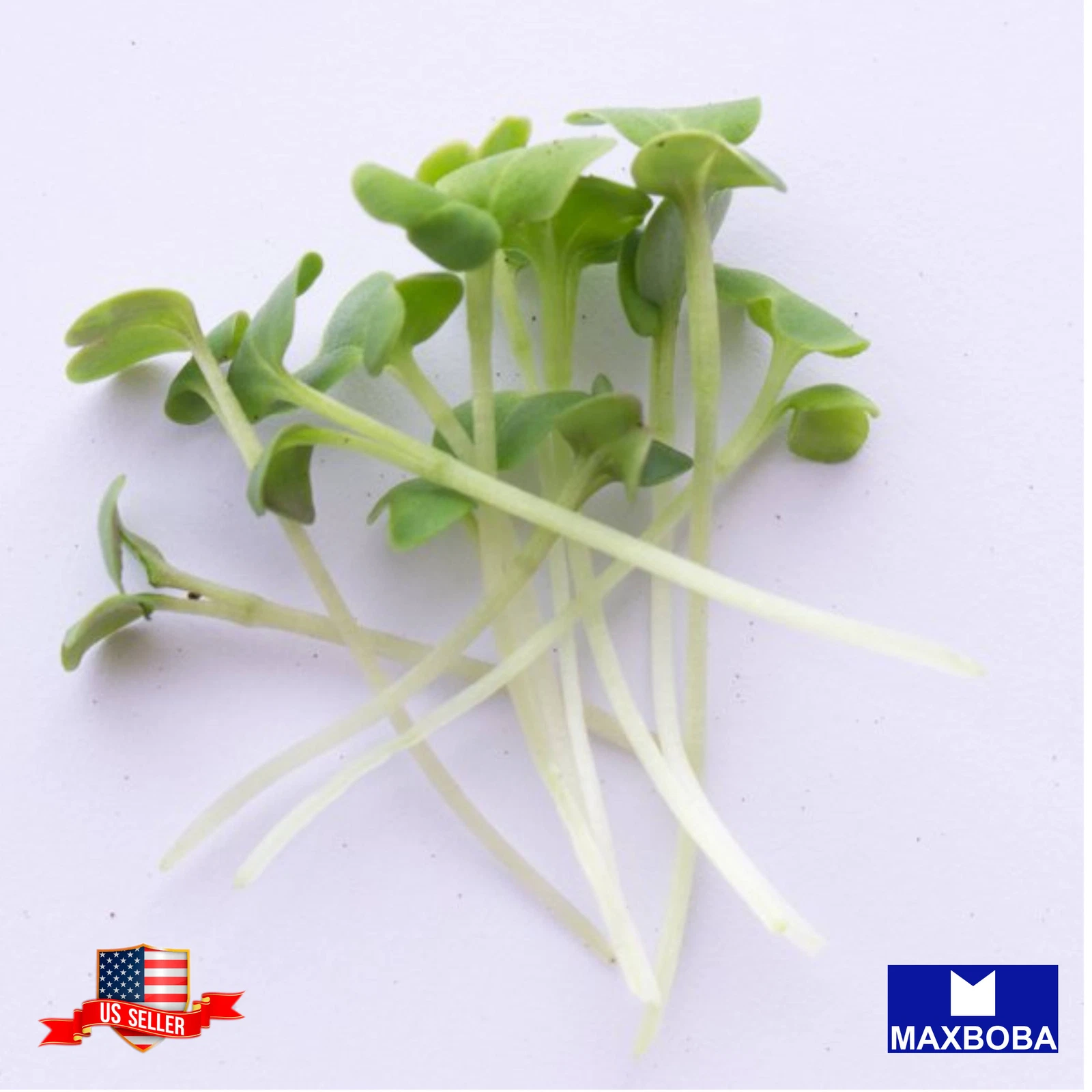 Green Mustard Microgreens Seeds Heirloom Non-GMO - $3.87