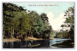 Fresh River at Gilman Park Exeter New Hampshire NH UNP DB Postcard G17 - £3.87 GBP