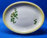 Paden City Pottery 14” X 10½” Oval Serving Platter - Ivy Vine USA - SHIP... - £22.53 GBP