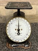 Columbia Family Scale 24 lb. Kelley-How-Thomson USA ~ Vintage 1906 - £38.21 GBP