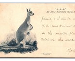 AAA Tutti Circa Australia Canguro 1904 Udb Cartolina S3 - $8.14