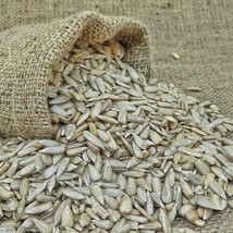 Sunflower Seeds for Eating - 500gm - £20.56 GBP