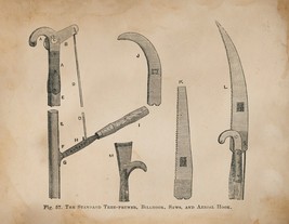 12870.Poster print.Room Wall design.Vintage garden pruning tools.Kitchen decor - $16.20+