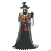 Spell-speaking witch animated - $5,595.06 MXN