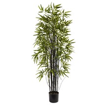 Hot New 50 pcs Black Lucky Bamboo Bonsai Seeds Garden Bambusa Ventricosa Ornamen - £4.92 GBP