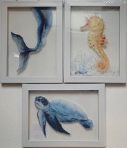 Seaside Beach Framed Pictures 8”x6”x0.4”, SB24a Select Seahorse, Turtle or Whale - £3.18 GBP