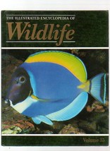 THE ILLUSTRATED ENCYCLOPEDIA OF WILDLIFE VOLUME 35 FISHES - £3.11 GBP