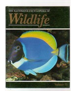 THE ILLUSTRATED ENCYCLOPEDIA OF WILDLIFE VOLUME 35 FISHES - £3.07 GBP