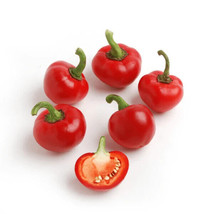 25 SEEDS SWEET RED CHERRY PEPPER RAPID SETUP HEIRLOOM SEEDS BLOOM - £8.20 GBP