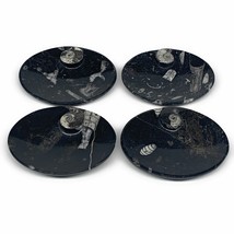 718g, 4pcs, 4.7&quot;x3.8&quot; Small Black Fossils Ammonite Orthoceras Bowl Oval Ring,B88 - £48.11 GBP