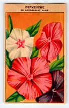 1920&#39;s Flower Seed Art Print PERVENCHE Lithograph Original Vintage Unused - £7.10 GBP