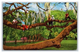 Moss Covered Oaks Audobon Park New Orleans LA UNP Linen Postcard Y6 - £2.33 GBP