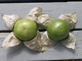 Grow 200 Grande Rio Verde Tomatillo Green Physalis Ixoxcarpa Vegetable Seeds - £6.84 GBP