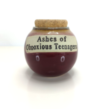 Pottery “Ashes Of Obnoxious Teenager” Funny Corked Jar Piggy Bank Gag Gi... - $21.57