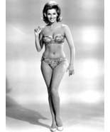 Actress NANCY KOVACK fancy undies 1960&#39;s head to toe b/w 7x10 portrait - $152.12 MXN