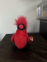 Mac The Cardinal Beanie Baby **ALL ERRORS** - $500.00