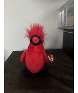 Mac The Cardinal Beanie Baby **ALL ERRORS** - £393.17 GBP