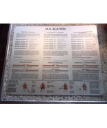 MS Elation cruise ship life boat station - Proper Life Jacket Adjustment... - $148.50