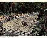 A Big Turn on the Mohawk Trail Massachusetts MA UNP Unused WB Postcard L6 - $2.92