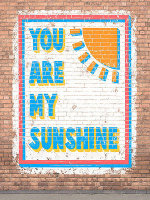 You Are My Sunshine Humor Vintage Distressed Shabby Chic Decorative Metal Sign - $23.95