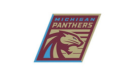 Michigan Panthers UFL Football 2024  Mens Polo XS-6XL, LT-4XLT XFL New - £20.34 GBP+