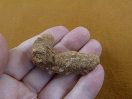 (R309-3) 2&quot; Fulgurite lightning strike beach fused sand Sahara Desert Morocco - £10.80 GBP