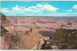 Post Card AZ Grand Canyon National Park &quot;Fred Harvey&quot; ~Vintage~ - £7.75 GBP