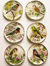 DOLLHOUSE 6 Lg. Plates Bright Birds w Flowers CDD513 By Barb Wall Art Miniature - £24.69 GBP