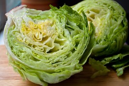 1000 Iceberg Lettuce Seeds Nongmo Garden Fresh USA Shipping - $10.38