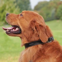 Leather Dog Collar SMALL/MEDIUM chrome hardware D-ring dual buckles Adjust Size - £22.48 GBP