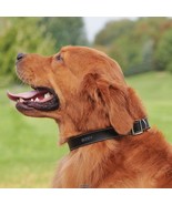 Leather Dog Collar SMALL/MEDIUM chrome hardware D-ring dual buckles Adju... - $38.99 CAD