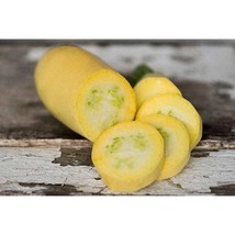 USA SELLER Butta Summer Squash Seeds Fast Shipping - £8.40 GBP