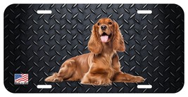 IRISH SETTER LYING CAN PERSONALIZE NOVELTY METAL LICENSE PLATE C - $6.00
