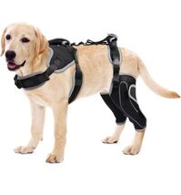 LISPOO Dog Acl Knee Brace for Torn Acl Leg Luxating Patella Dog Knee Bra... - $44.95