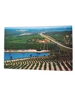 Postcard Citrus Groves Citrus Tower Lakes Aerial View Clermont Florida C... - $9.90