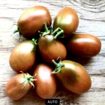 Super Sweet Gourmet Grape Tomato 50 Seeds Fresh Garden - £12.58 GBP