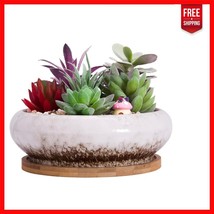 Elegant 7.3-Inch Ceramic Succulent Pot with Drainage &amp; Saucer for Home D... - $575.98 MXN