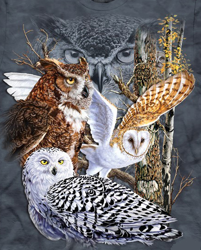 Primary image for Owls Of The  World Cross Stitch Pattern***LOOK***