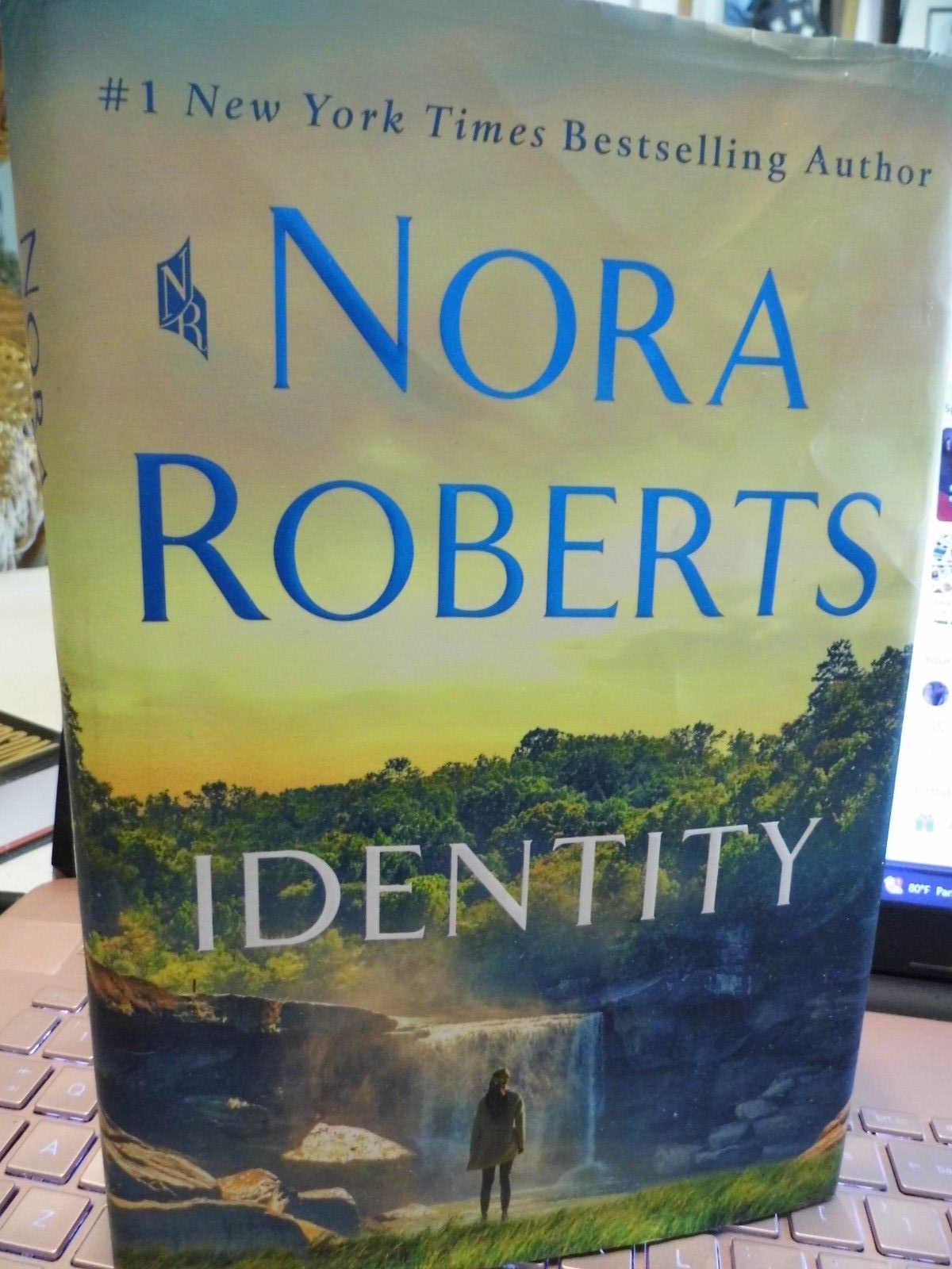 IDENTITY by NORA ROBERTS (2023, HARDCOVER, DUST JACKET  1ST Edition) - $13.50