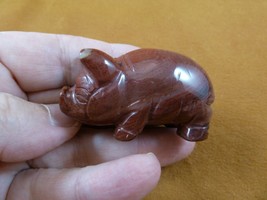 (Y-PIG-ST-746) red Jasper PIG Piggy gemstone FIGURINE carving piglet gem... - $17.53
