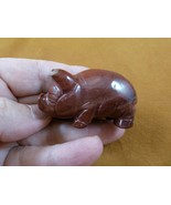 (Y-PIG-ST-746) red Jasper PIG Piggy gemstone FIGURINE carving piglet gem... - €15,11 EUR