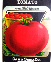 Tomato John Baer Pomedoro Grosso Card Seed Co EMPTY Pack 1920's Fredonia NY - $10.12